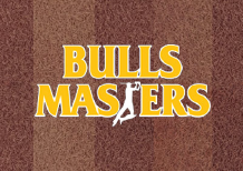 bulls_logo